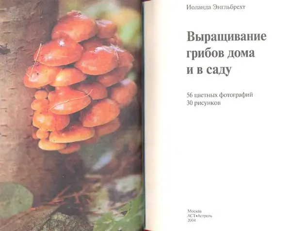 Иоланда Энгльбрехт - Выращивание грибов дома и в саду - Страница № 2
