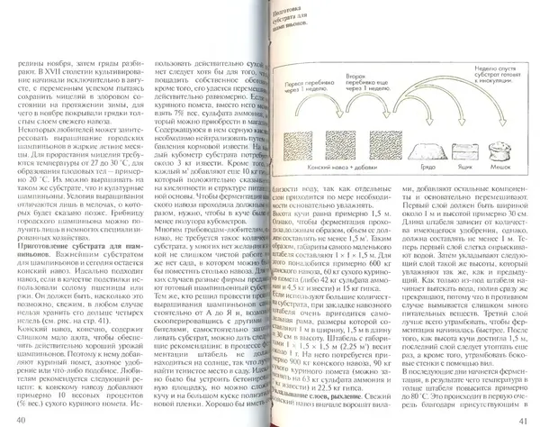 Иоланда Энгльбрехт - Выращивание грибов дома и в саду - Страница № 21