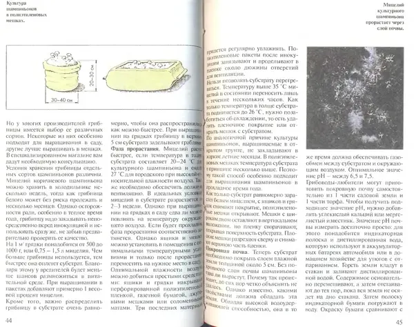 Иоланда Энгльбрехт - Выращивание грибов дома и в саду - Страница № 23