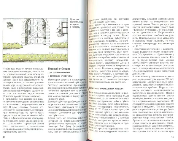 Иоланда Энгльбрехт - Выращивание грибов дома и в саду - Страница № 25