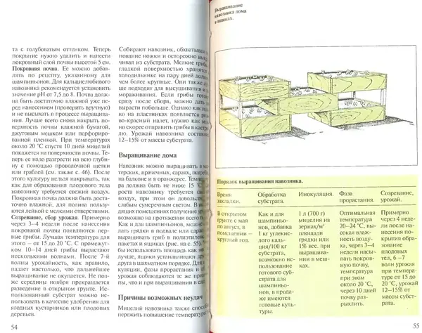 Иоланда Энгльбрехт - Выращивание грибов дома и в саду - Страница № 28