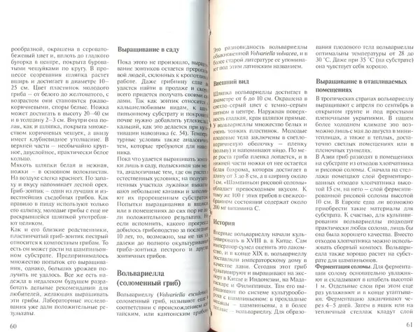 Иоланда Энгльбрехт - Выращивание грибов дома и в саду - Страница № 31