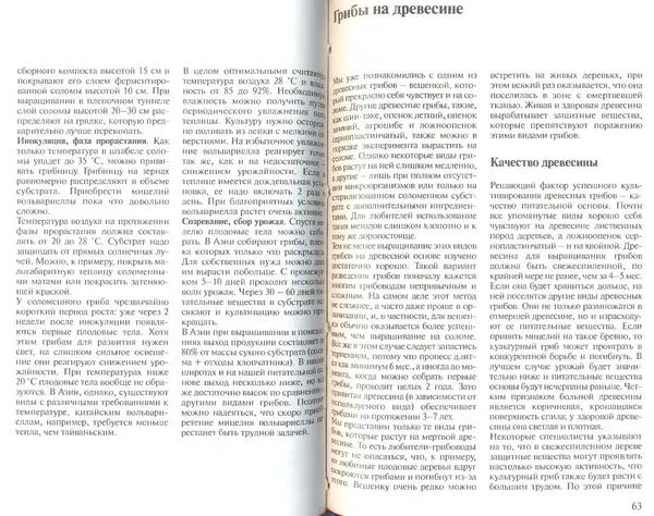 Иоланда Энгльбрехт - Выращивание грибов дома и в саду - Страница № 32