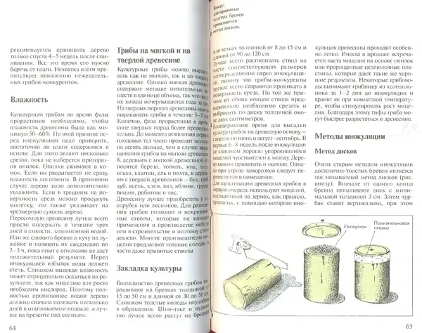 Иоланда Энгльбрехт - Выращивание грибов дома и в саду - Страница № 33