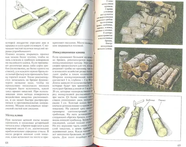 Иоланда Энгльбрехт - Выращивание грибов дома и в саду - Страница № 35