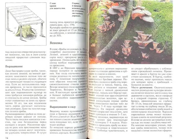 Иоланда Энгльбрехт - Выращивание грибов дома и в саду - Страница № 38