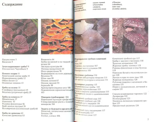Иоланда Энгльбрехт - Выращивание грибов дома и в саду - Страница № 4
