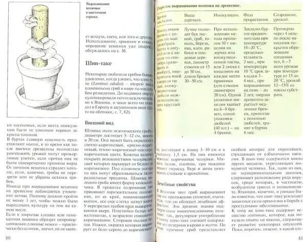 Иоланда Энгльбрехт - Выращивание грибов дома и в саду - Страница № 41