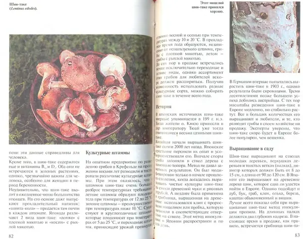 Иоланда Энгльбрехт - Выращивание грибов дома и в саду - Страница № 42