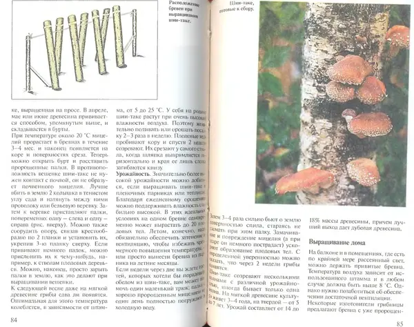 Иоланда Энгльбрехт - Выращивание грибов дома и в саду - Страница № 43