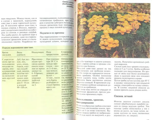 Иоланда Энгльбрехт - Выращивание грибов дома и в саду - Страница № 44