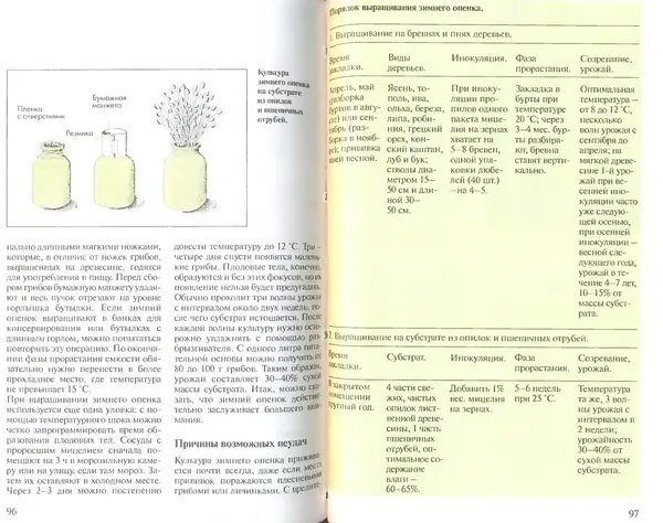 Иоланда Энгльбрехт - Выращивание грибов дома и в саду - Страница № 49