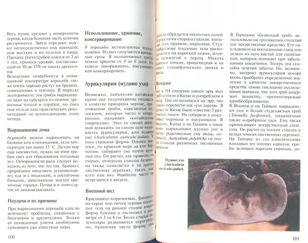 Иоланда Энгльбрехт - Выращивание грибов дома и в саду - Страница № 51