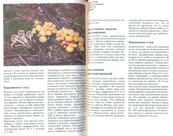 Иоланда Энгльбрехт - Выращивание грибов дома и в саду - Страница № 52