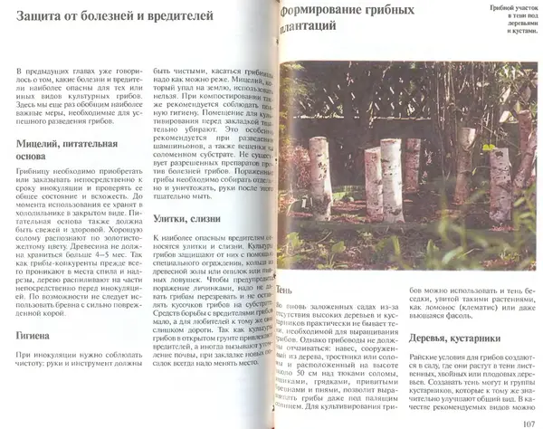 Иоланда Энгльбрехт - Выращивание грибов дома и в саду - Страница № 54
