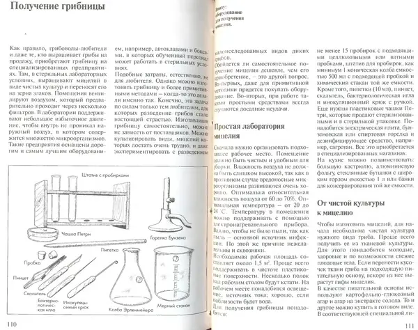 Иоланда Энгльбрехт - Выращивание грибов дома и в саду - Страница № 56
