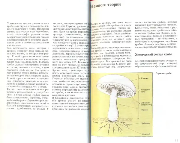 Иоланда Энгльбрехт - Выращивание грибов дома и в саду - Страница № 6