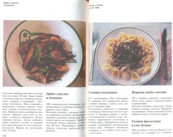 Иоланда Энгльбрехт - Выращивание грибов дома и в саду - Страница № 60