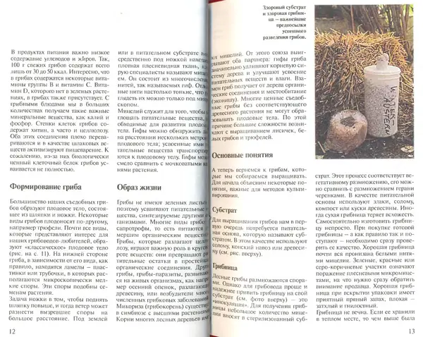 Иоланда Энгльбрехт - Выращивание грибов дома и в саду - Страница № 7