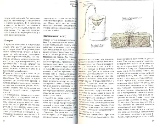 Иоланда Энгльбрехт - Выращивание грибов дома и в саду - Страница № 9