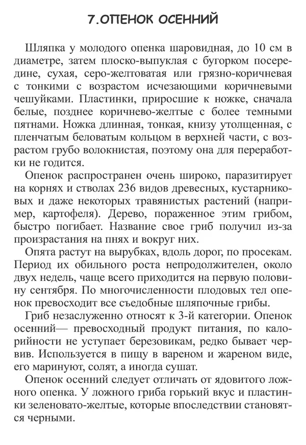 Татьяна Никиточкина - Грибы. Выпуск 2 - Страница № 18