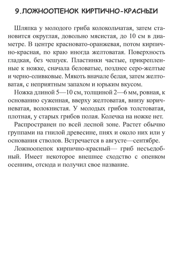 Татьяна Никиточкина - Грибы. Выпуск 2 - Страница № 22