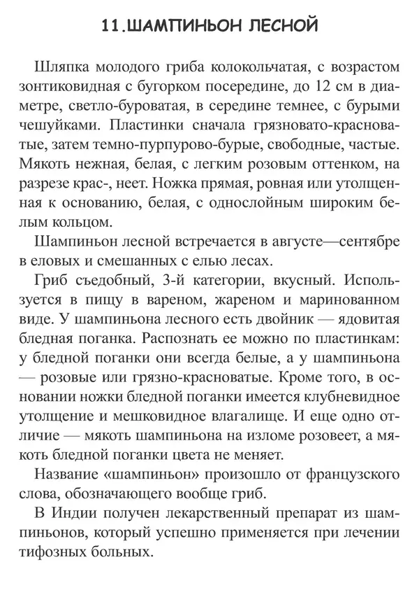 Татьяна Никиточкина - Грибы. Выпуск 2 - Страница № 26