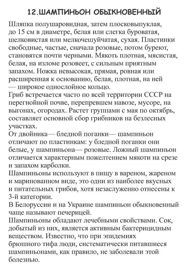 Татьяна Никиточкина - Грибы. Выпуск 2 - Страница № 28