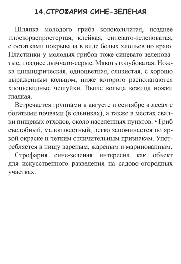 Татьяна Никиточкина - Грибы. Выпуск 2 - Страница № 32