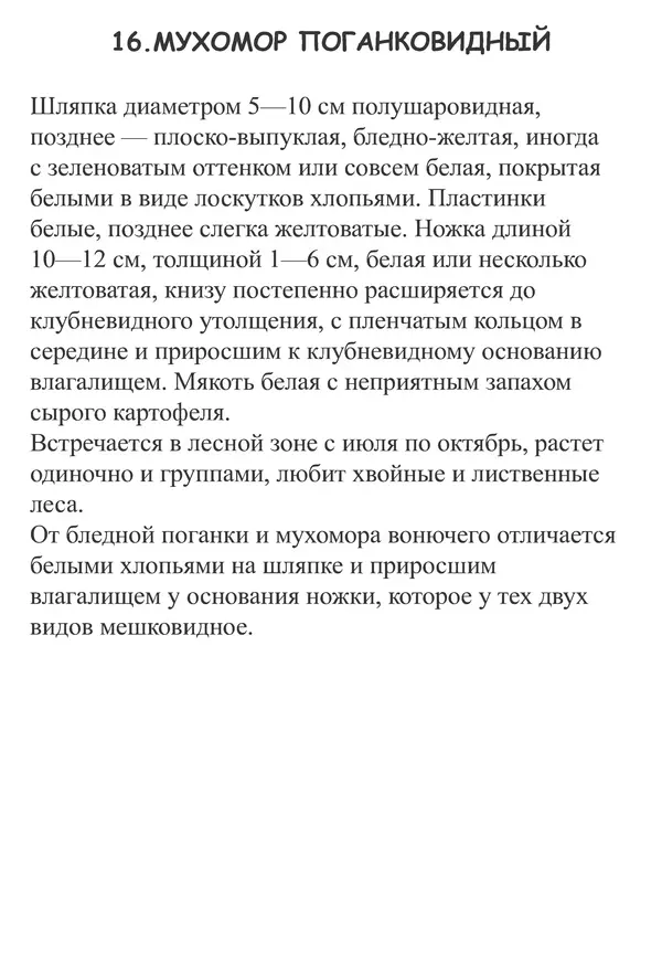 Татьяна Никиточкина - Грибы. Выпуск 2 - Страница № 36