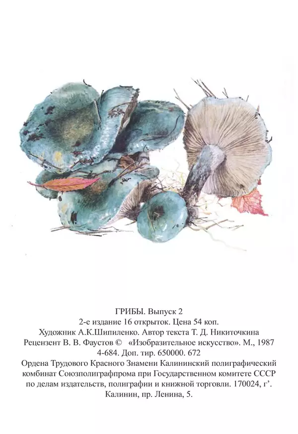 Татьяна Никиточкина - Грибы. Выпуск 2 - Страница № 38