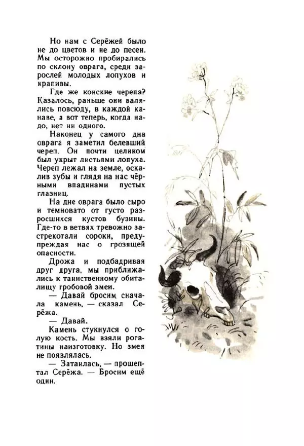 Георгий Скребицкий - Весёлые ручьи - Страница № 16