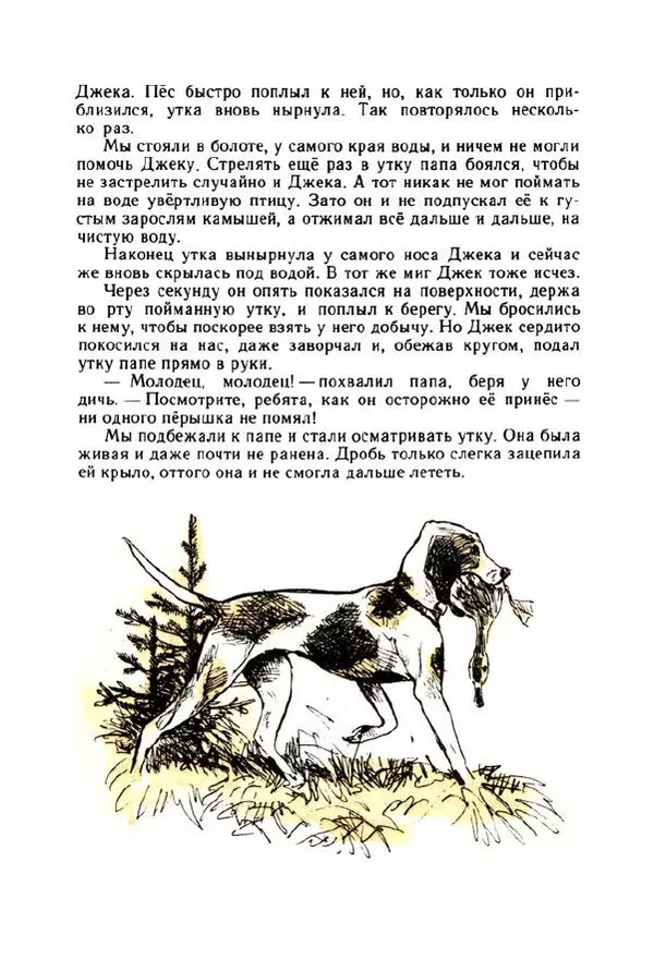 Георгий Скребицкий - Весёлые ручьи - Страница № 38