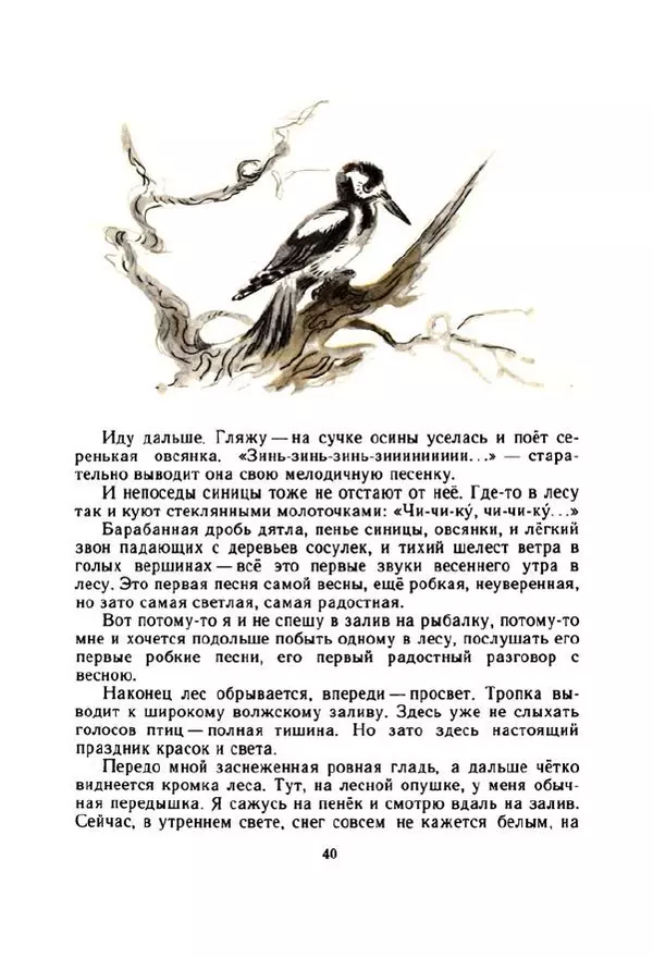 Георгий Скребицкий - Весёлые ручьи - Страница № 47