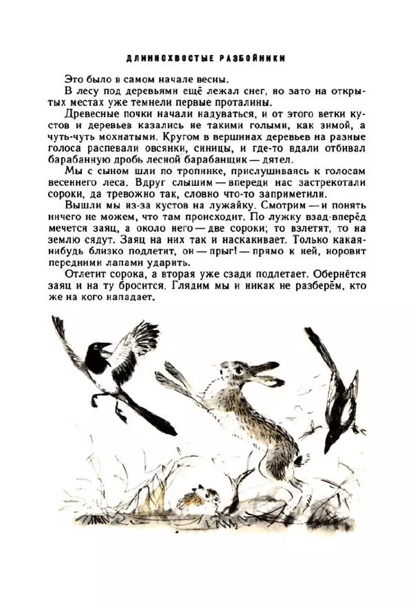 Георгий Скребицкий - Весёлые ручьи - Страница № 55