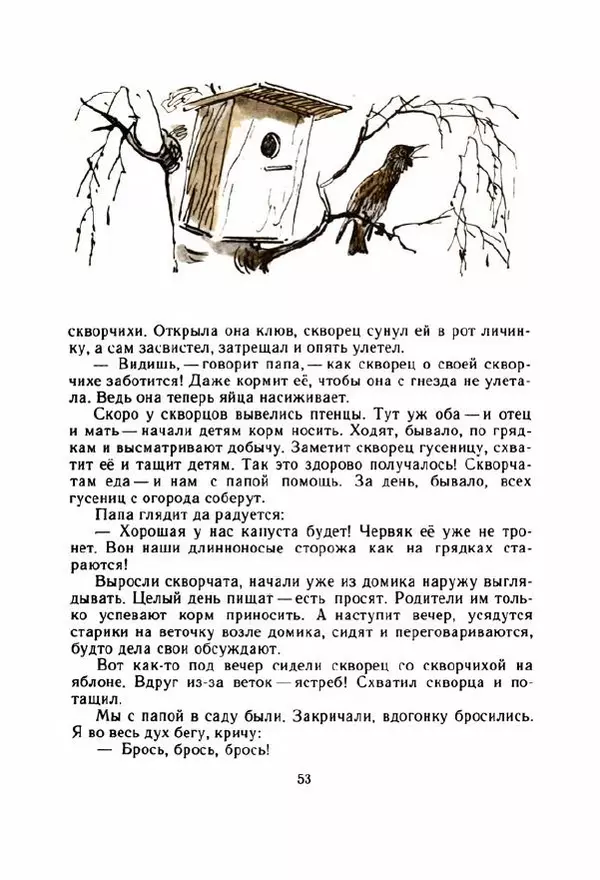 Георгий Скребицкий - Весёлые ручьи - Страница № 60