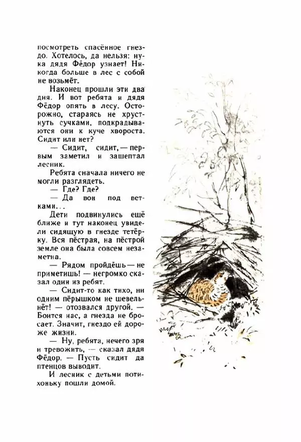 Георгий Скребицкий - Весёлые ручьи - Страница № 70