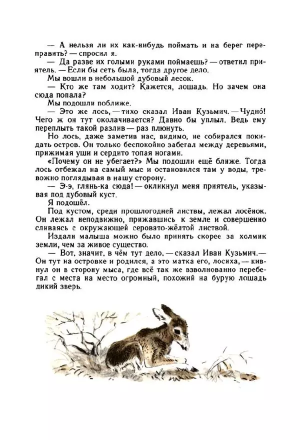 Георгий Скребицкий - Весёлые ручьи - Страница № 90