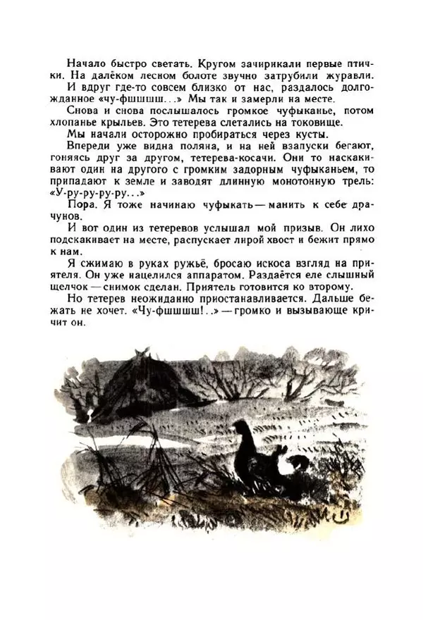 Георгий Скребицкий - Весёлые ручьи - Страница № 102