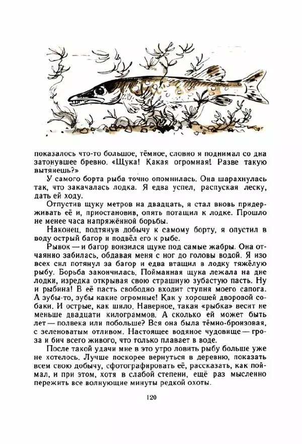 Георгий Скребицкий - Весёлые ручьи - Страница № 127