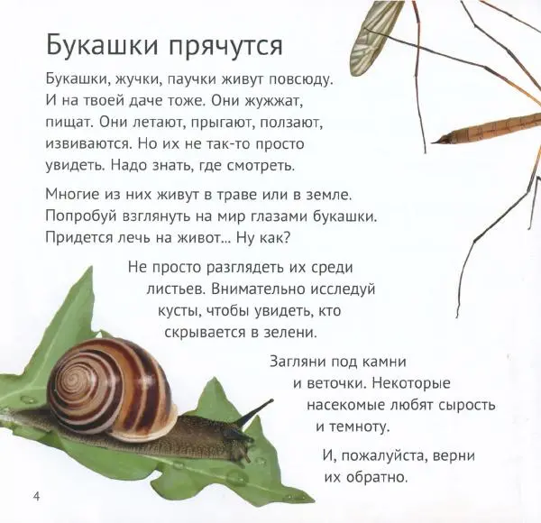 Майк Анвин - Кто живёт у нас на даче. Букашки - Страница № 7