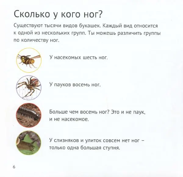 Майк Анвин - Кто живёт у нас на даче. Букашки - Страница № 9
