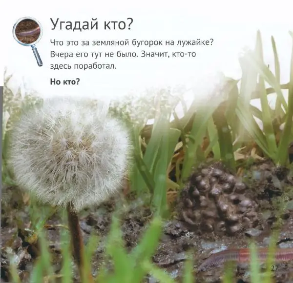 Майк Анвин - Кто живёт у нас на даче. Букашки - Страница № 30