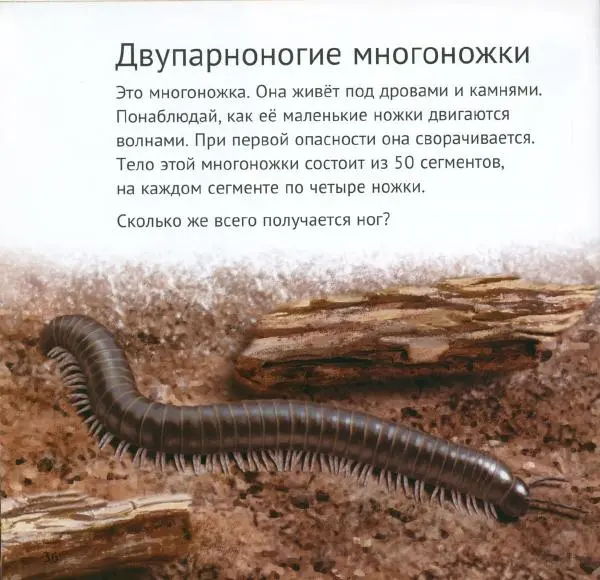 Майк Анвин - Кто живёт у нас на даче. Букашки - Страница № 39