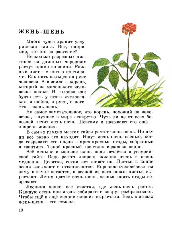 Юрий Аракчеев - По Уссурийской тайге - Страница № 10