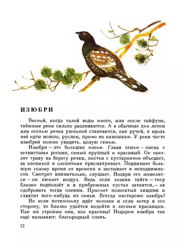 Юрий Аракчеев - По Уссурийской тайге - Страница № 12