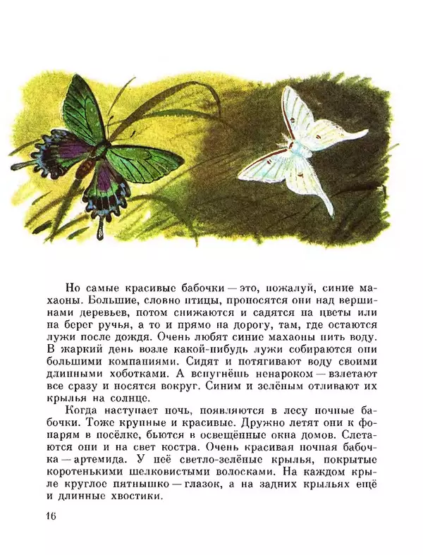 Юрий Аракчеев - По Уссурийской тайге - Страница № 16