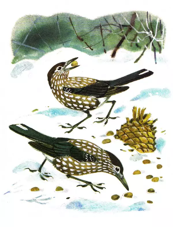 Юрий Аракчеев - По Уссурийской тайге - Страница № 7