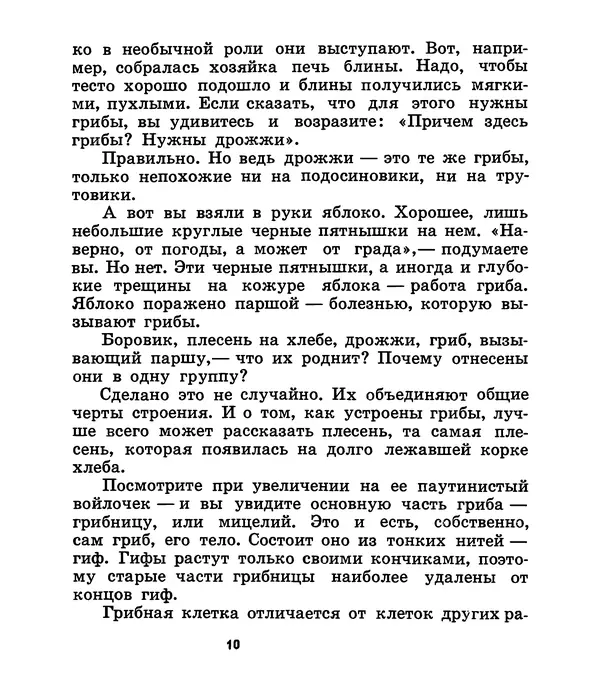 К. Шульга - Грибы наших лесов - Страница № 10