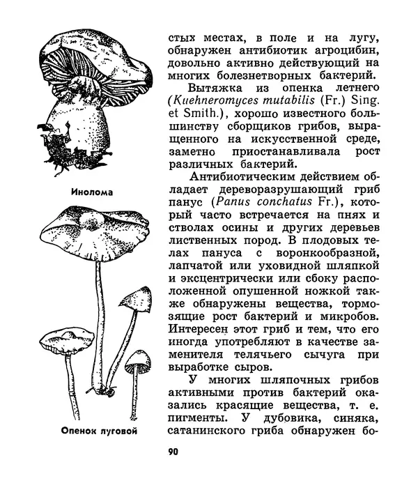 К. Шульга - Грибы наших лесов - Страница № 114